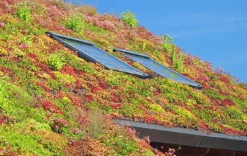 Laganbuidhe living roof systems