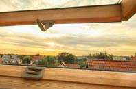 rated Laganbuidhe roof window companies